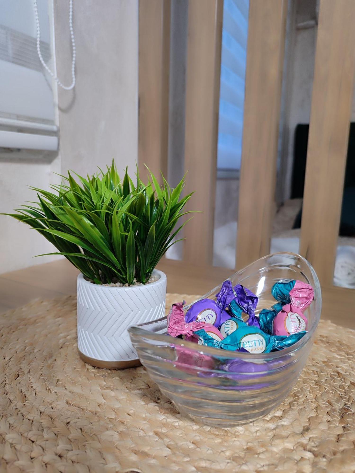Studio Apartman Free Parking Rubikon เบลเกรด ห้อง รูปภาพ